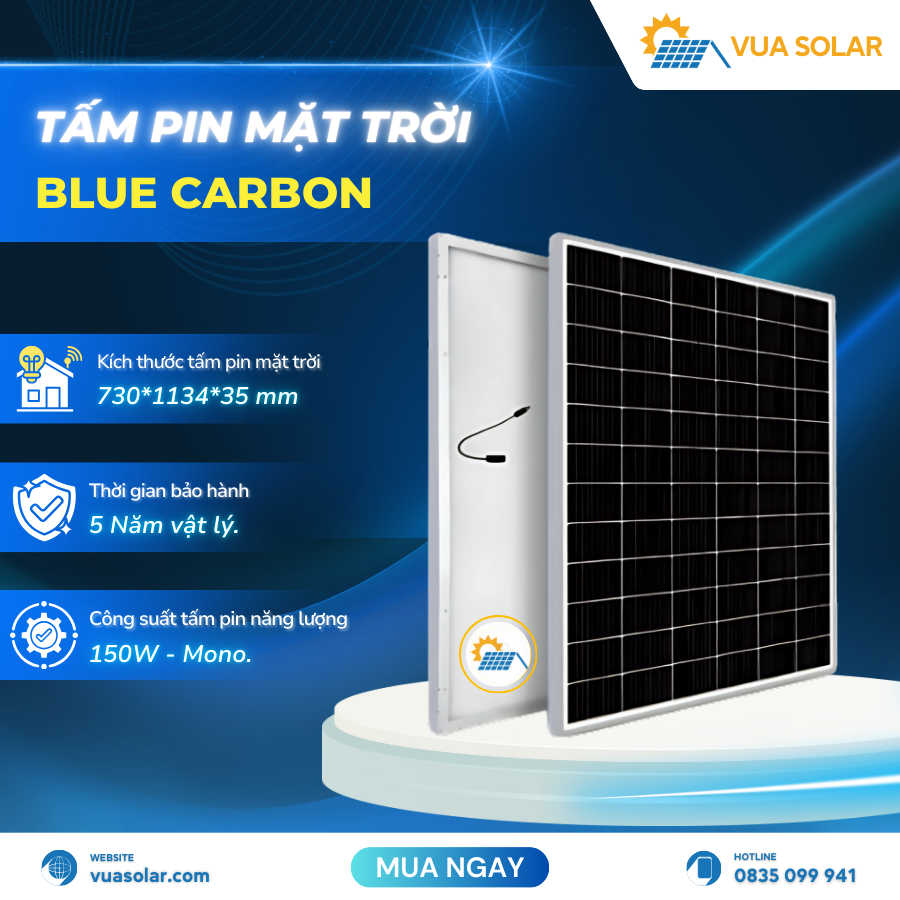 Tấm pin năng lượng mặt trời 150w BCT150M-12