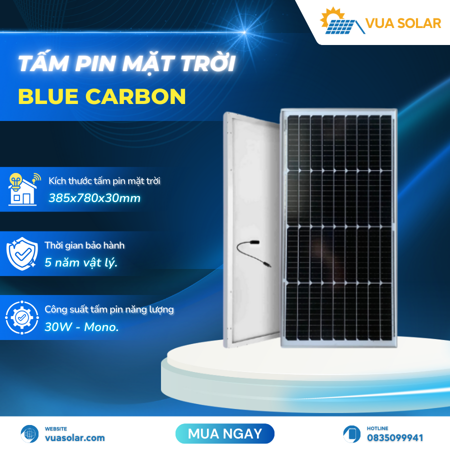 Tấm pin năng lượng mặt trời 30w BCT30M-12
