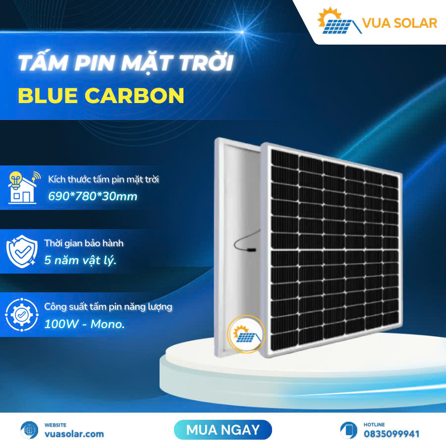 Tấm pin năng lượng mặt trời 100w BCT100M-12