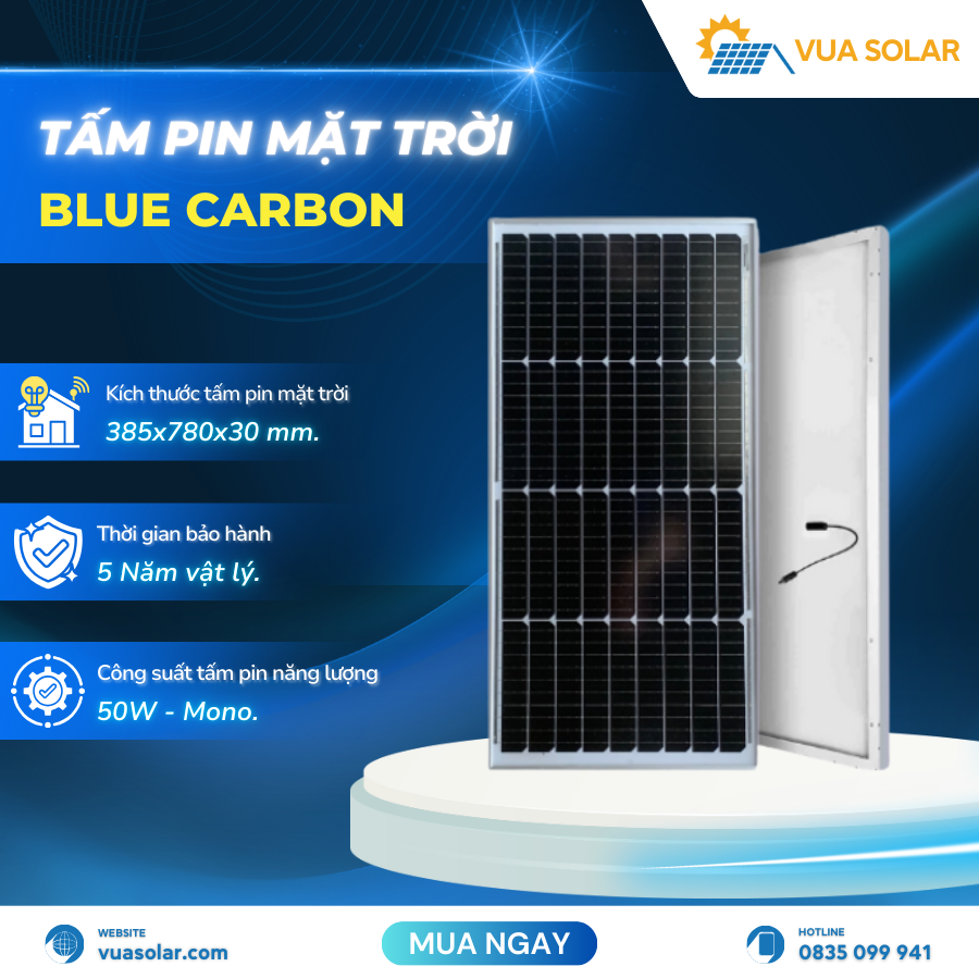 Tấm pin năng lượng mặt trời 50w BCT50M-12