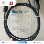 Tấm pin mặt trời 100w BCT150M-12