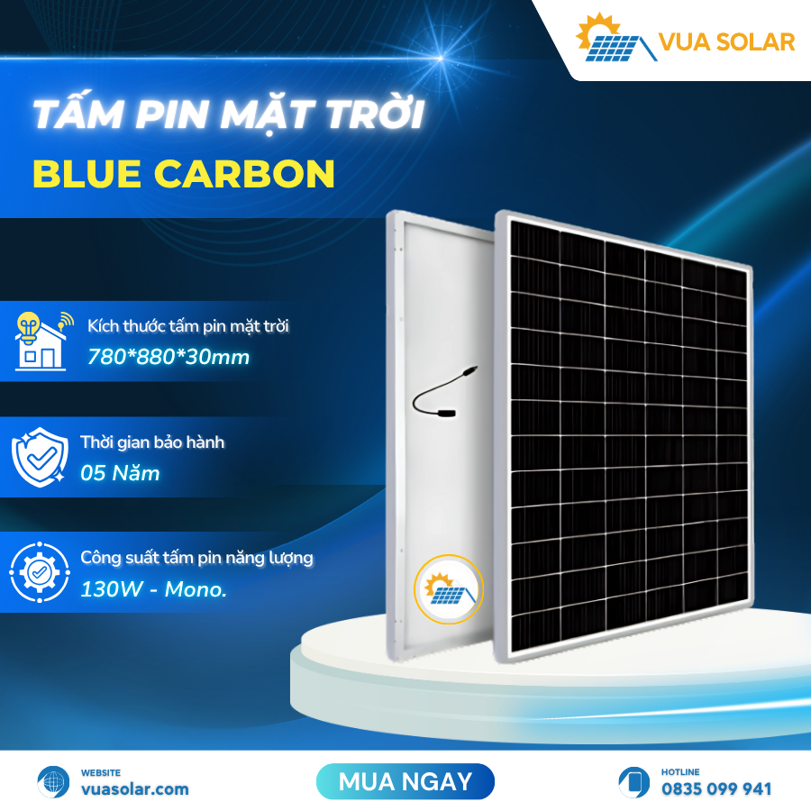 Tấm pin năng lượng mặt trời 130W (BCT130M-12)